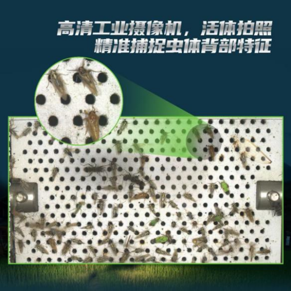 全面升级！托普云农这样防治“作物杀手”