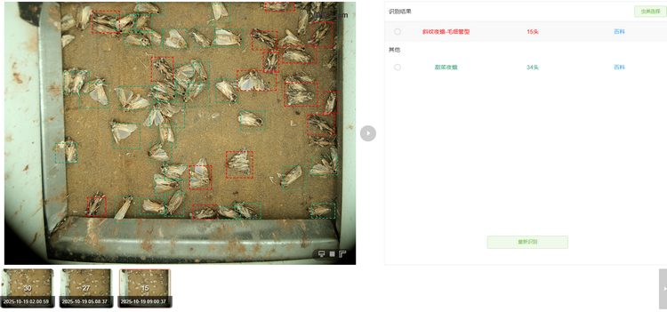 智能识别计数 - 副本.png